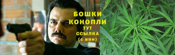 ПСИЛОЦИБИНОВЫЕ ГРИБЫ Новокубанск