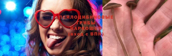 спайс Алексин