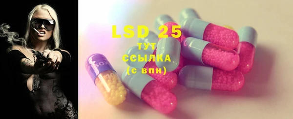 ПСИЛОЦИБИНОВЫЕ ГРИБЫ Алзамай