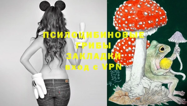 ПСИЛОЦИБИНОВЫЕ ГРИБЫ Алзамай