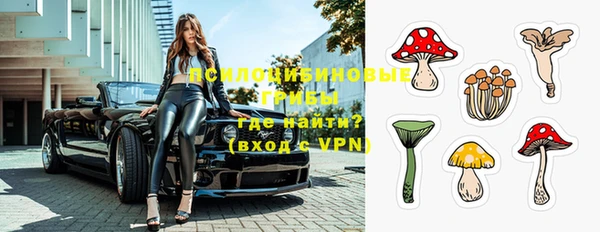 каннабис Новозыбков