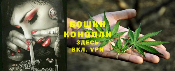 каннабис Новозыбков